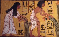 Ancient Egyptian peasants harvesting